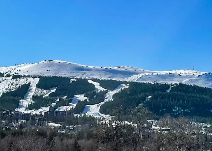 Lovely In With Wifi Apartament *